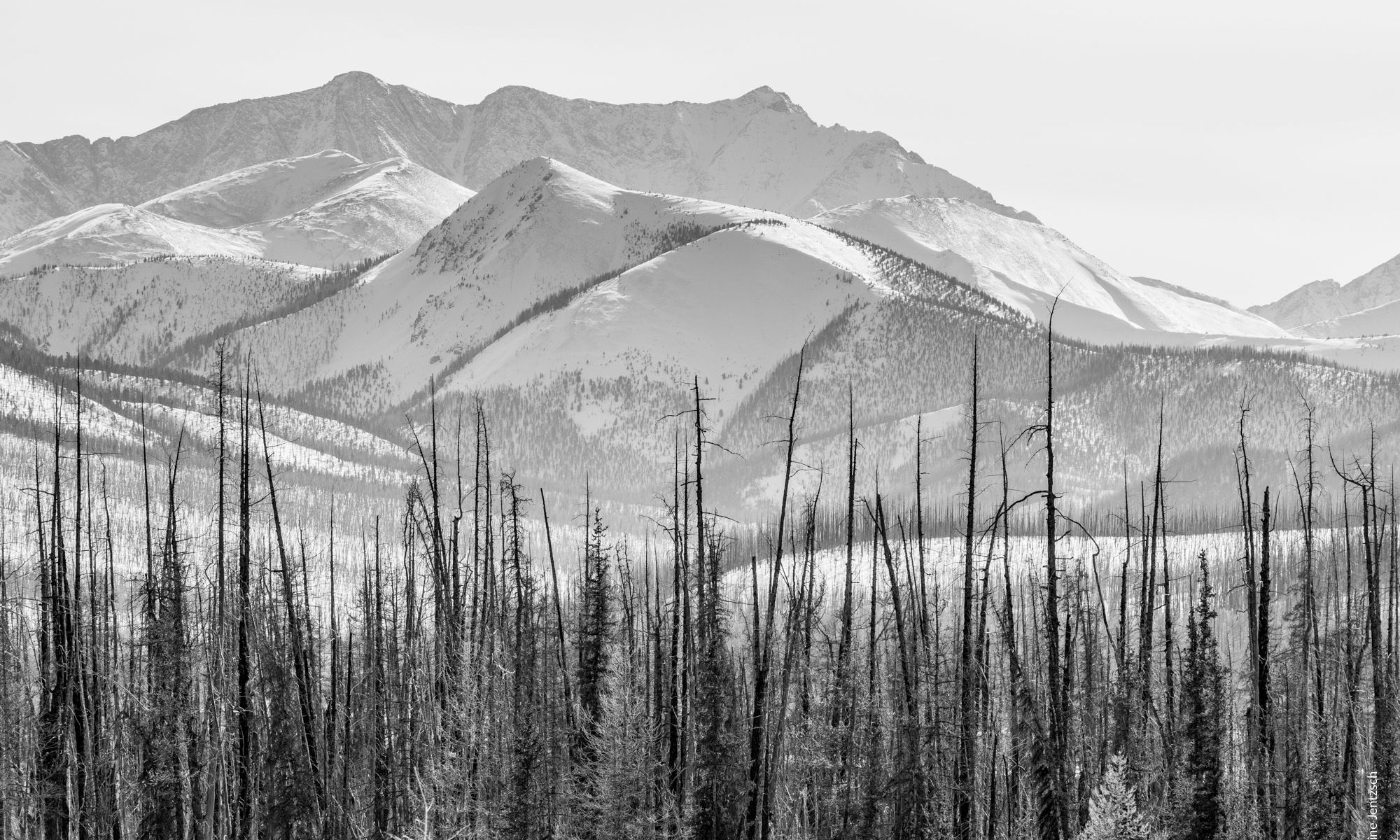 Paysage hivernal - nord Mongolie 