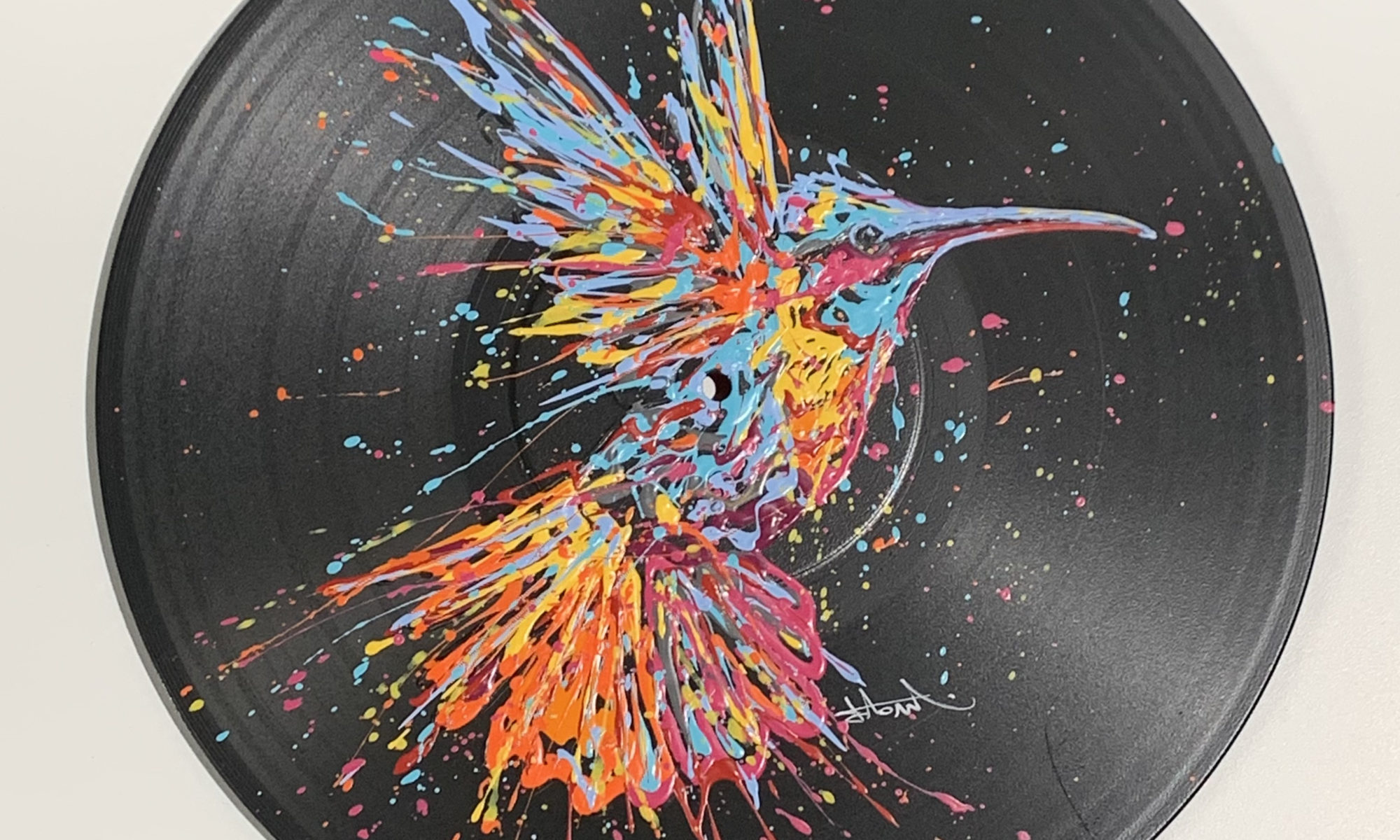 Colibri- Peinture sur disque vinyle encadré 44 x 44 cm