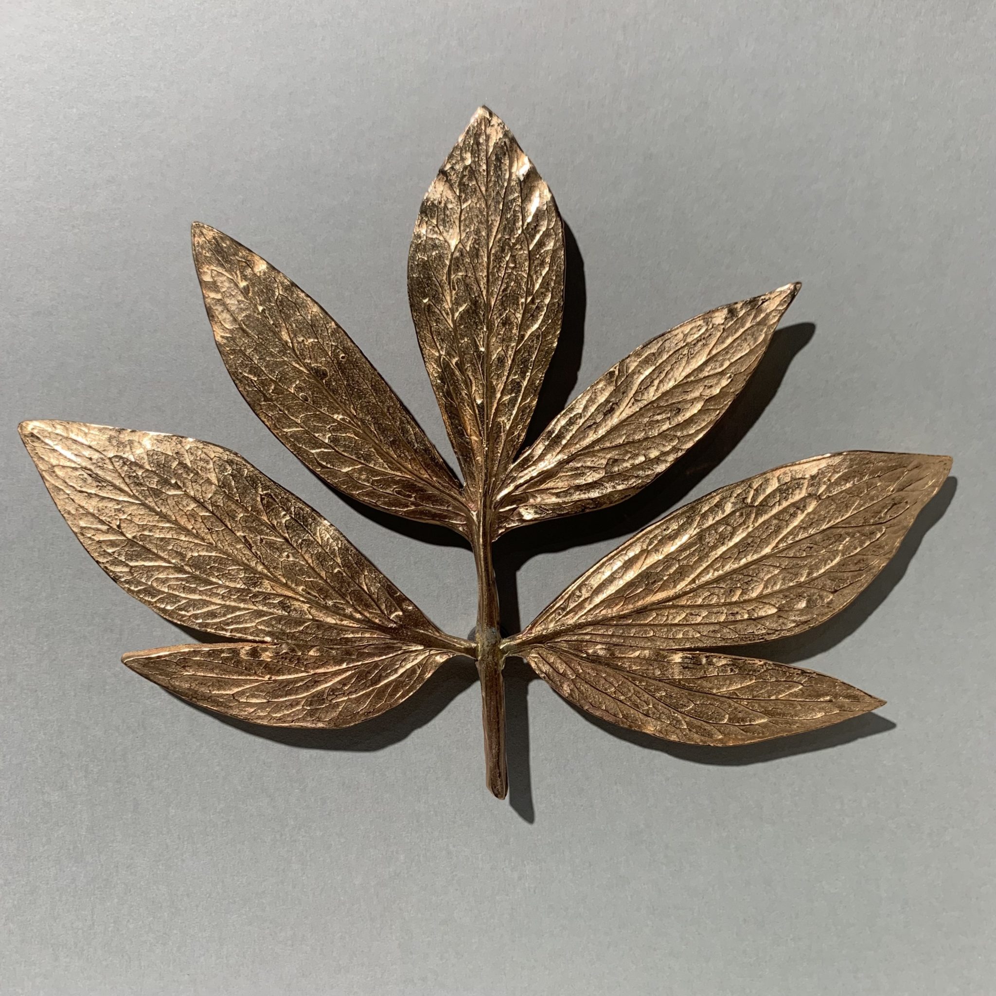 BRONZE HERBARIUM 