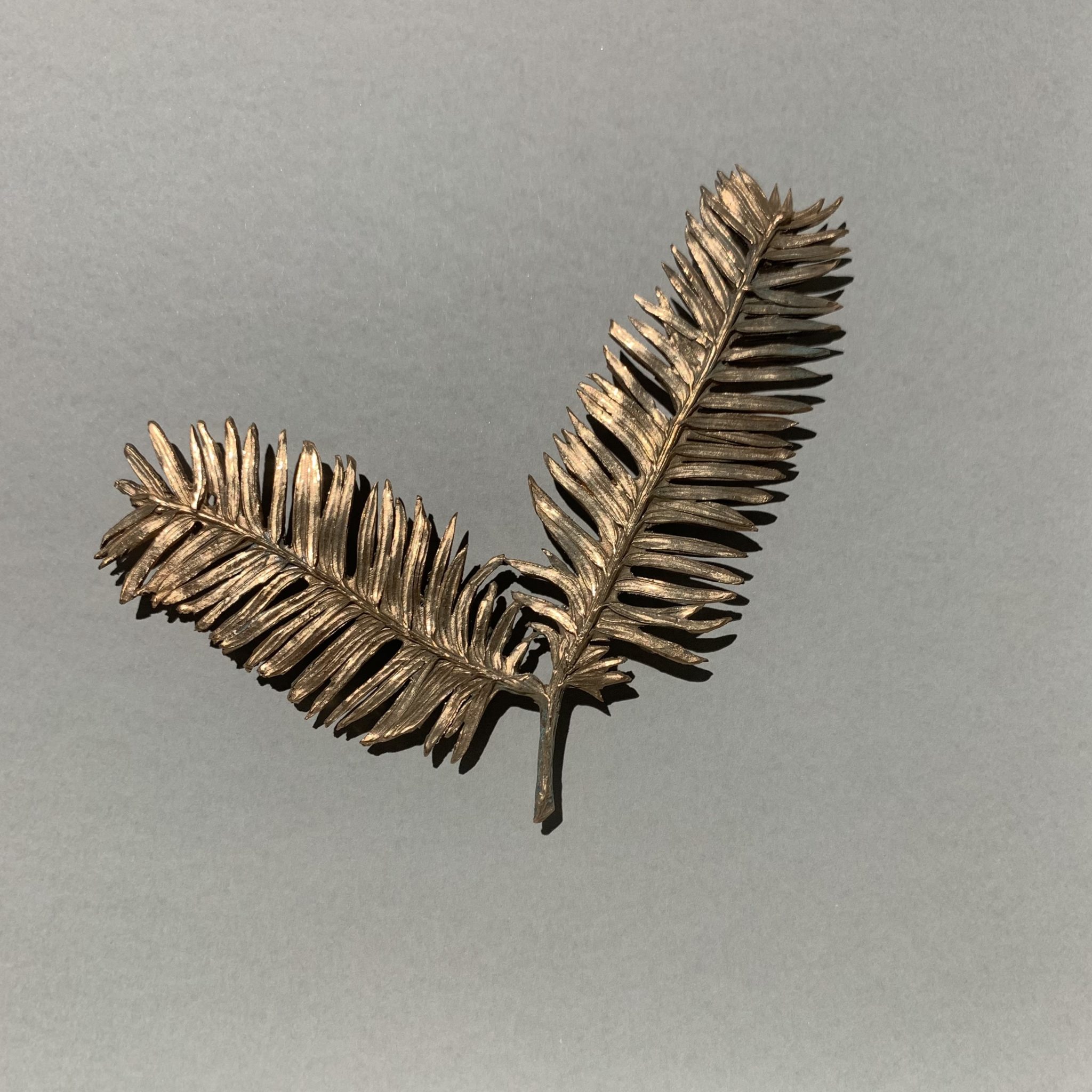 BRONZE HERBARIUM 