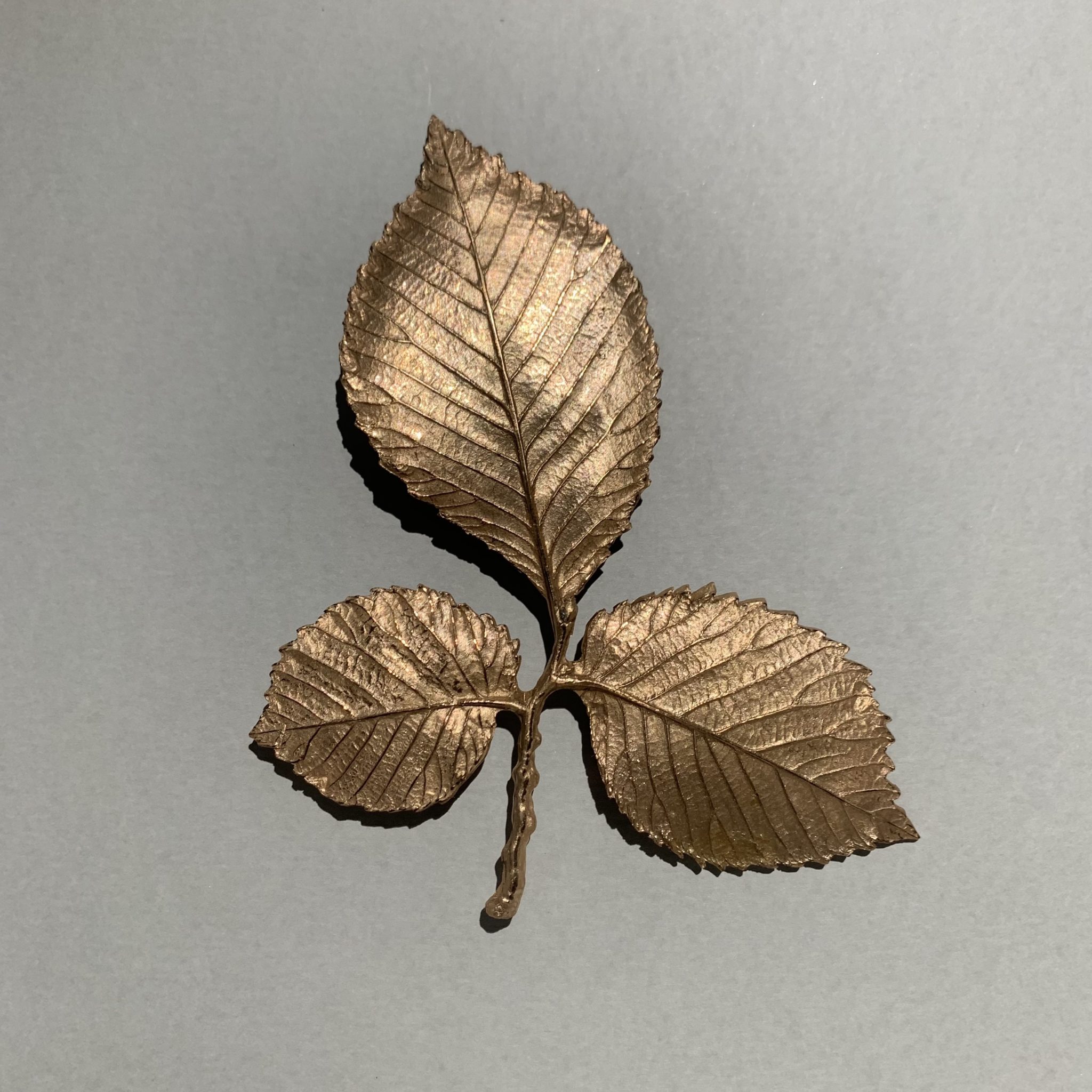 BRONZE HERBARIUM 