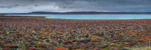 Samuel Bitton - Lac Gilsárlón / Lake Gilsárlón - Islande