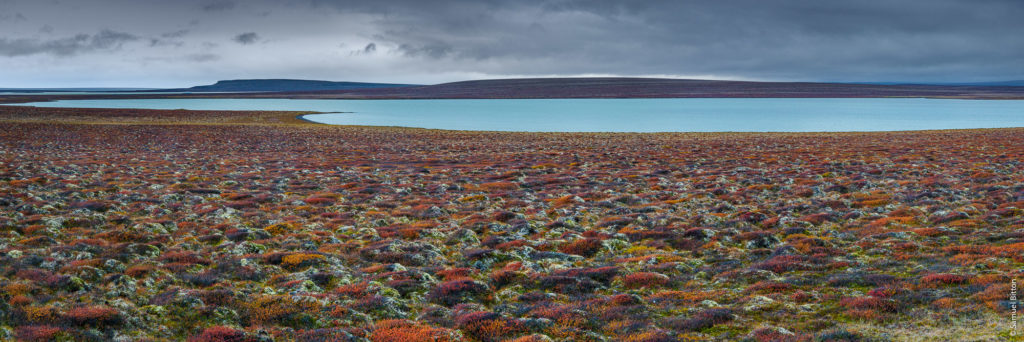 Lac Gilsárlón / Lake Gilsárlón