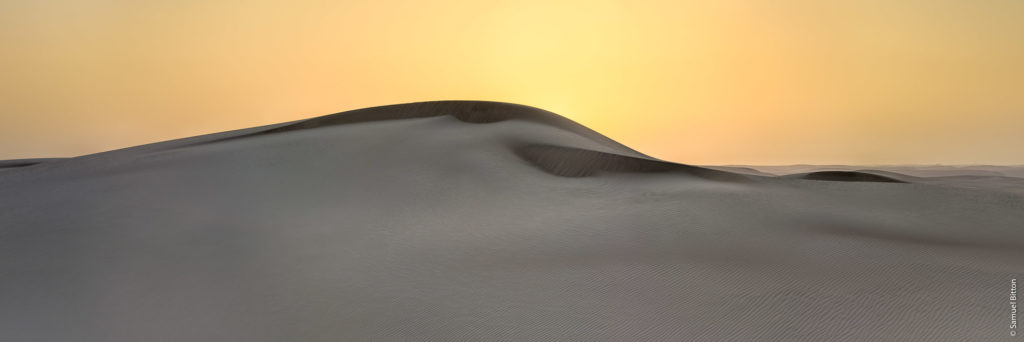 Desert du Wahiba Sands / Wahiba Sands Desert