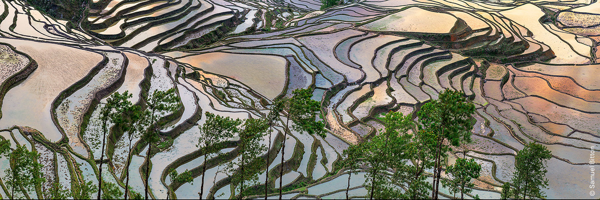 Rizières du Yunann / Yunnan Rice Fields