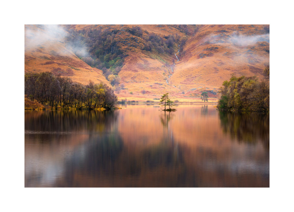 L\'arbre du Loch Eilt