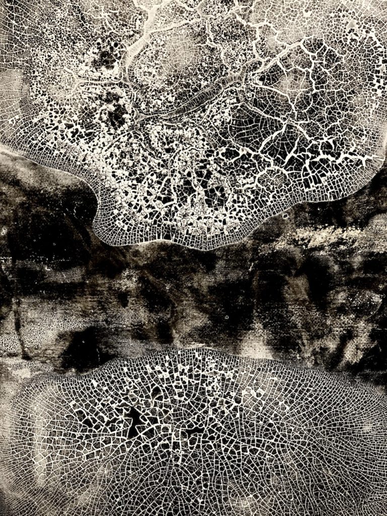 BARBARA BONVIN -Œuvres sur papier